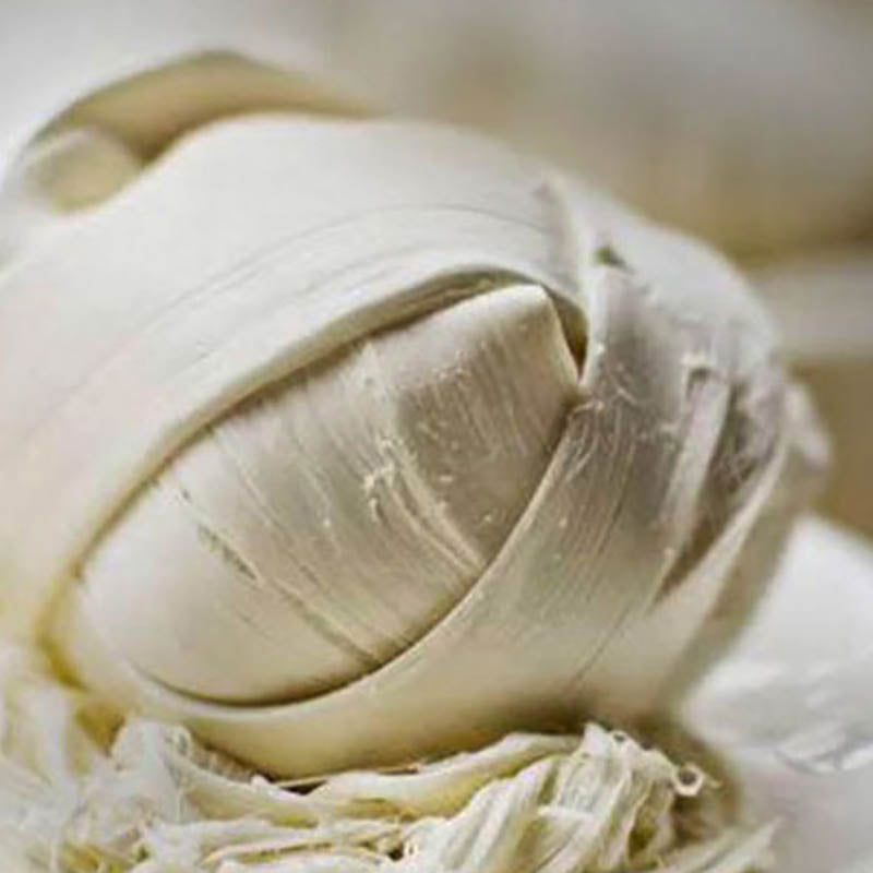 Queso Oaxaca